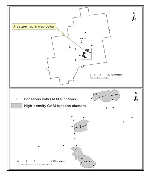 Complementary and Alternative Medicine (CAM) Single, Multiple and High